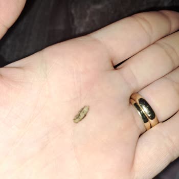 Lays Cips Yoğurtlu Şikayet