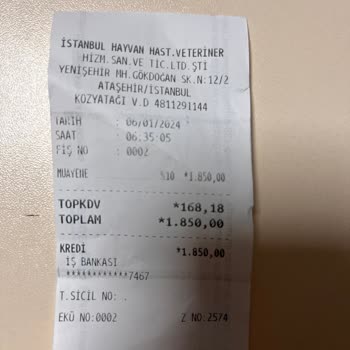 İstanbul Hayvan Hastanesi Köpeğimi Muayene Etmeyip Teşhis Koyamayıp Resmen Süründürdüler