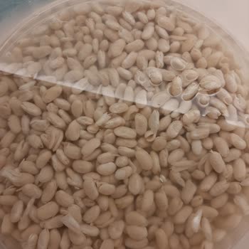 Anadolu Mutfağı Şok Marketten Aldığım Kuru Fasülye Suya Girince Darma Dağın Oldu