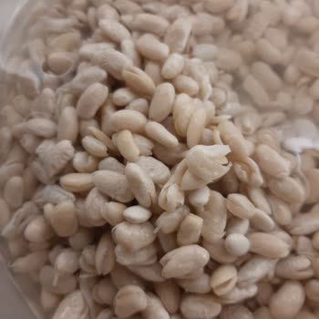 Anadolu Mutfağı Şok Marketten Aldığım Kuru Fasülye Suya Girince Darma Dağın Oldu