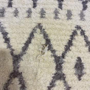 Elmas Halı Yıkama (Konya) Elmas Halı Yıkama