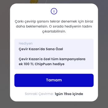 Chippin Kazandığım Çipi Yüklemedi