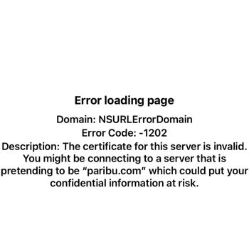 Paribu Hesaba Girememe Sorunu