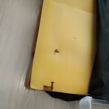 Güneysan Sağlık Sattığı Kirli Süngerli Hasta Karyolasını İade Almıyor