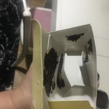 A101 Soğuk Zincire Dikkat Edilmeyen Kekspır Sufle