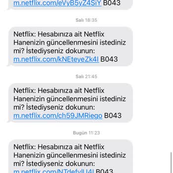 Netflix Hanenizin Güncellenmesini İstediniz Mi Sorunu