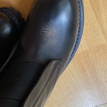 U. S. Polo Assn. Bot