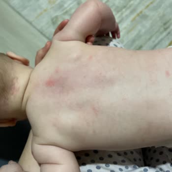 Mustela Pişmanlıktır Bizde Pişman Olduk