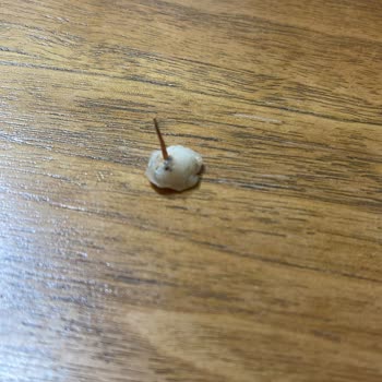 Mesam Ağız Ve Diş Sağlığı Polikliniği Pişmanlık Yaratıyor