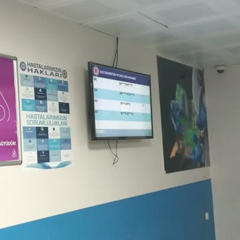 Ege Üniversitesi Hastanesi Çocuk Acil Servisinin Yoğunluğu Ve Hasta Bekleme Süreleri