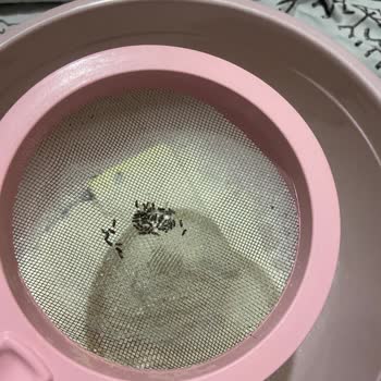 Tarım Kredi Kooperatif Market Tarım Kredinin İçinden Çıkan Böcekler