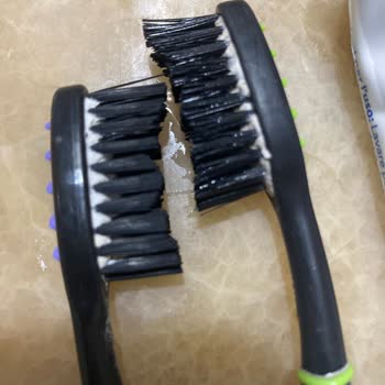 Colgate Diş Macunu Ve Fırçasının Dandikliği