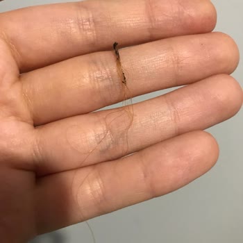 Rossmann Saç Fırçası Saçımda Eridi