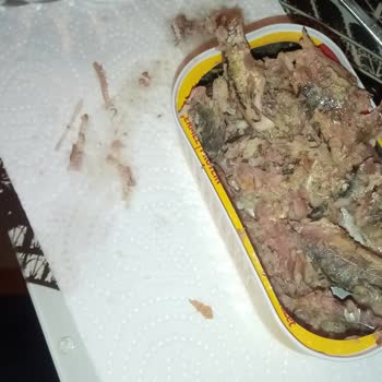 BİM Kurtlu Sardalya Konservesi!