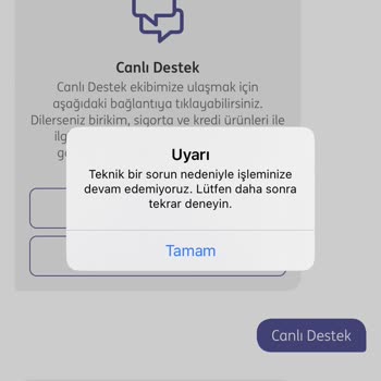ING Müşteri Hizmetlerine Asla Ulaşamıyorum
