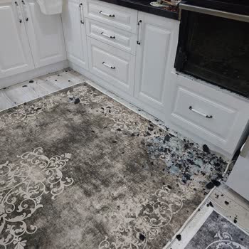 Alveus Pişmanlıktır Sorun Üstüne Sorun Yaşatıyor