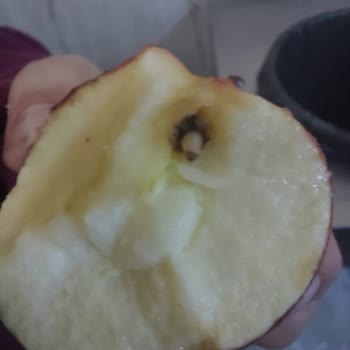 Erünal Sosyal Bilimler Lisesi Sosyal Bilimler Lisesi Yurt Yemeklerindeki Hijyen Sorunları