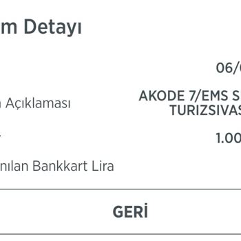 THY Check-in Ve Tekerlekli Sandalye Mağduriyeti