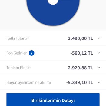 AgeSA Hayat ve Emeklilik BES Hesabımdaki Şaşırtıcı Eksi Bakiye Durumu