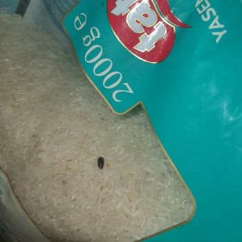 Tat Gıda Tat Marka Ürün İçerisinden Çıkan Böcek!