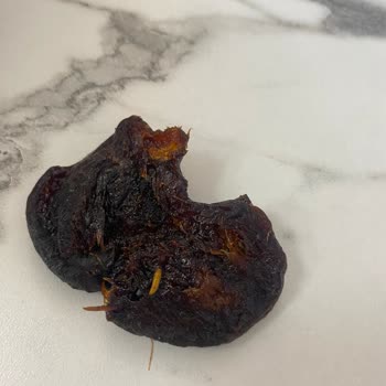 Çerezya Kuru Kayısı Şikayet