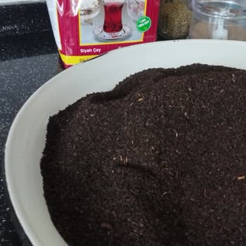 Çaykur Tiryaki Yabancı Cisim