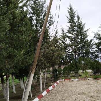 Türk Telekom Direk Kaldırma Talebi