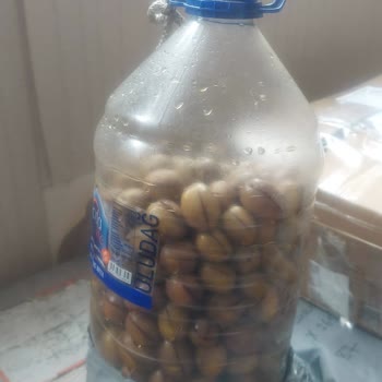 Sürat Kargo'nun Sorumsuzluğu Ve İlgisizliği