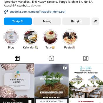 Anadolia Gurme Pişmanlığı