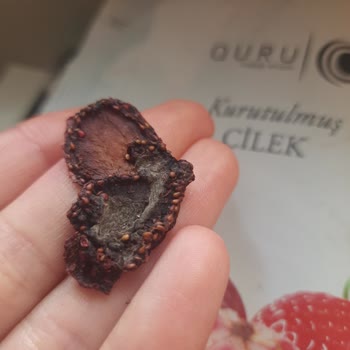 Taze Kuru Bozuk Olduğunu Düşündüğüm Bir Quru Markası