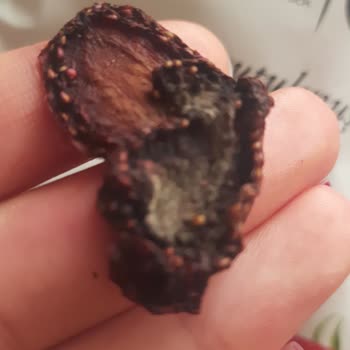 Taze Kuru Bozuk Olduğunu Düşündüğüm Bir Quru Markası