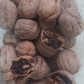 Migros Haksızlık Yapıyor Kötü Bozulmuş Ürün Satıyor