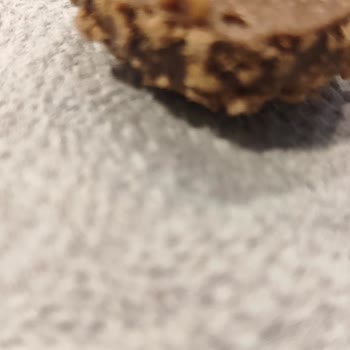 Ülker Albeni Bisküvisi Üzerinde Kurt Çıktı