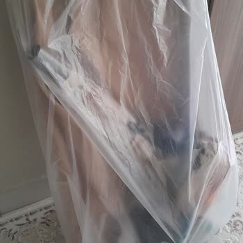 Arsa Kargo Kırık Teslimat