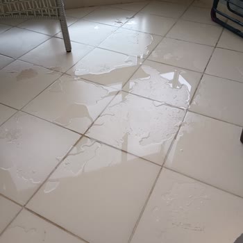 Albert Genau Marka Cam Bakon Su Alıyor