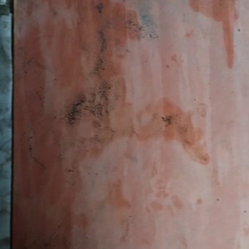 Silivri Belediyesi Kapı Önü Kedi Sorunu Ve Sağlık Kaygısı