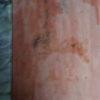 Silivri Belediyesi Kapı Önü Kedi Sorunu Ve Sağlık Kaygısı