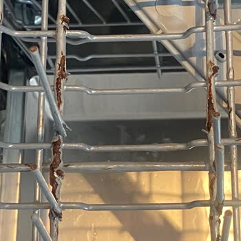 Arçelik İlgisizliği Ve Sağlığa Verdiği Değer