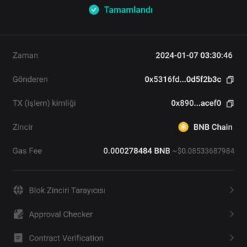 Bitget Yatırımım Gözükmüyor, Yardım!