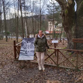 Bolu Koru Hotels Spa & Convention Bolu Koru Otel