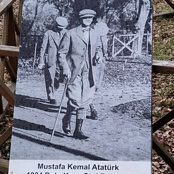 Bolu Koru Hotels Spa & Convention Bolu Koru Otel