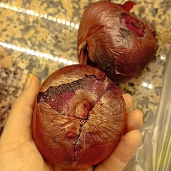 Elmalı Market Teslim Edilen Ürünlerdeki Problemler