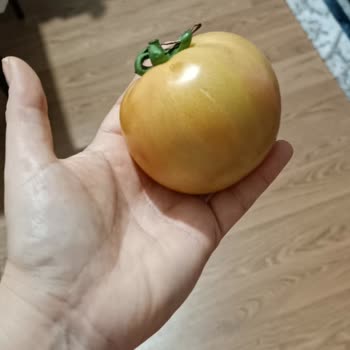 Elmalı Market Teslim Edilen Ürünlerdeki Problemler