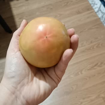 Elmalı Market Teslim Edilen Ürünlerdeki Problemler