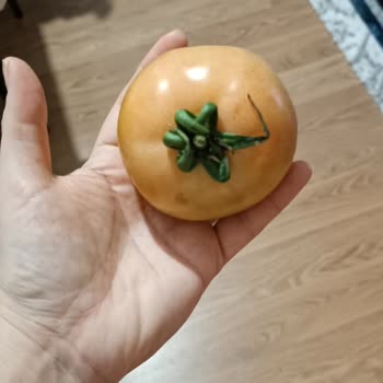 Elmalı Market Teslim Edilen Ürünlerdeki Problemler