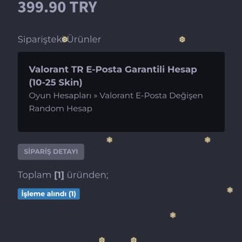 Fiberpin Teslim Süreci-İade Talebi