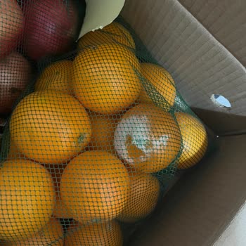 Portakalbahcem.com Kalite Düşüşü Ve Çürük Ürün Hayal Kırıklığı