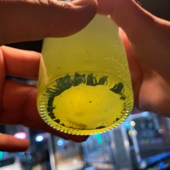 Schweppes Bitter Lemon İçeceğinden Yabancı Madde Çıkması