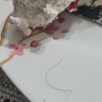 Liva Pastanesi (livashop.com) Pastasından Kıl Çıktı