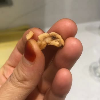 Tarlabaşı Kuru Gıda Kurtlu Çerez Kaju Saygısız Kasiyer